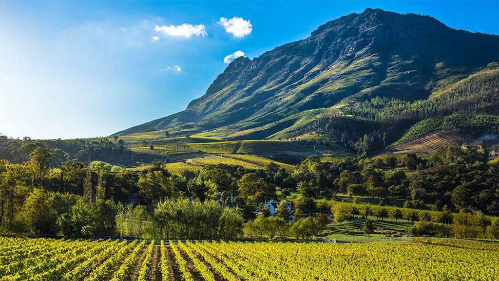 31st Commonwealth Agriculture Conference (RASC 2026)