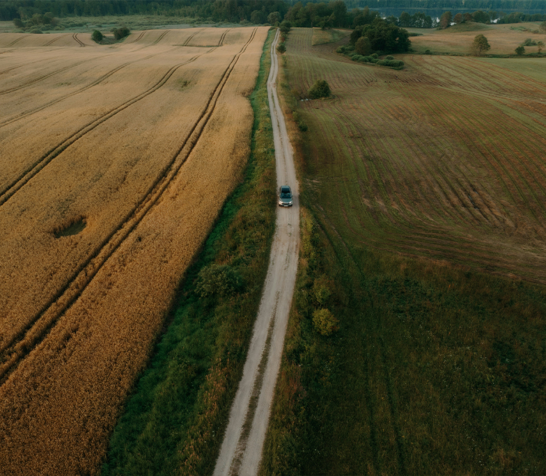 industry interventions