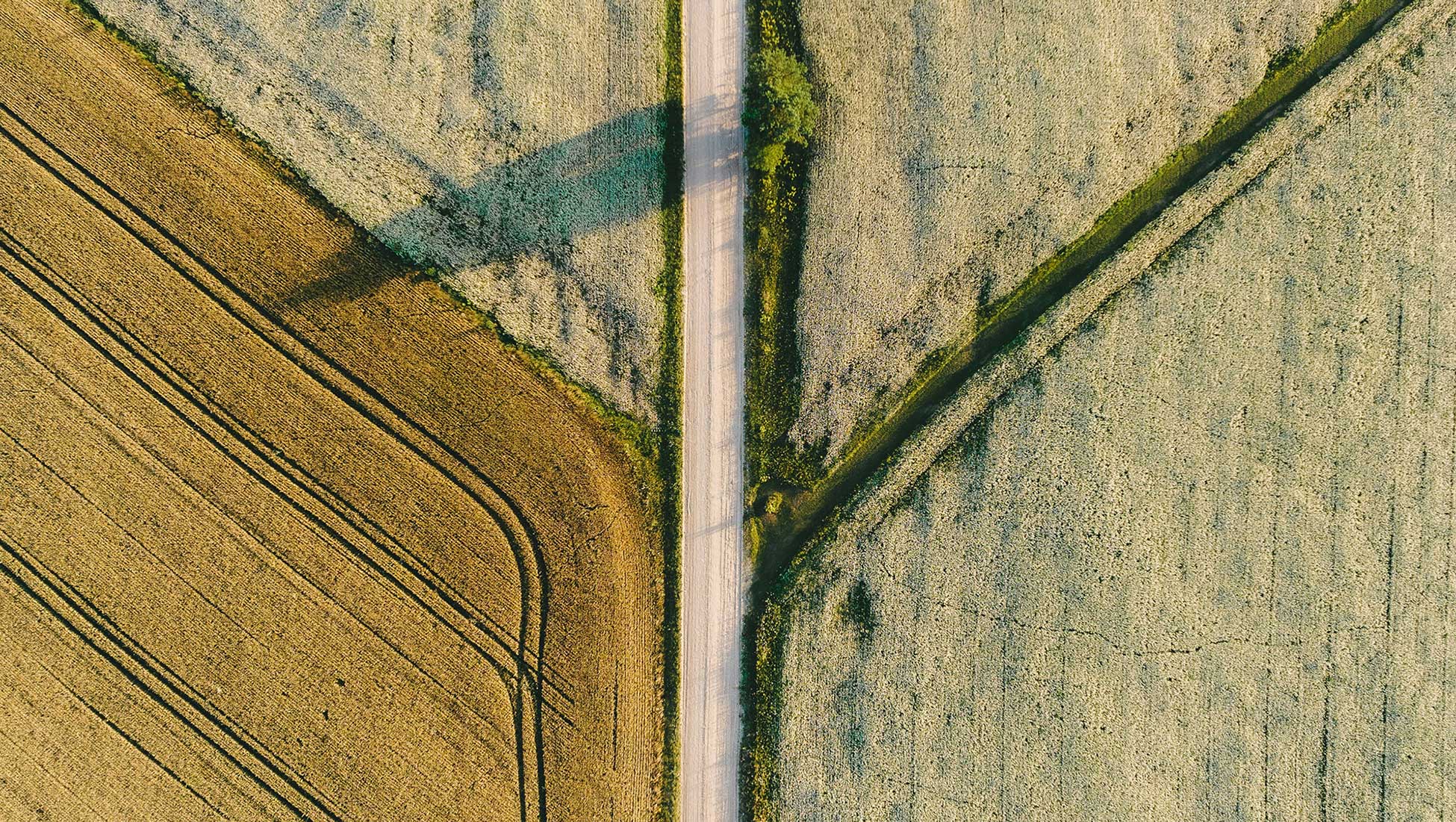 Industry Coordination