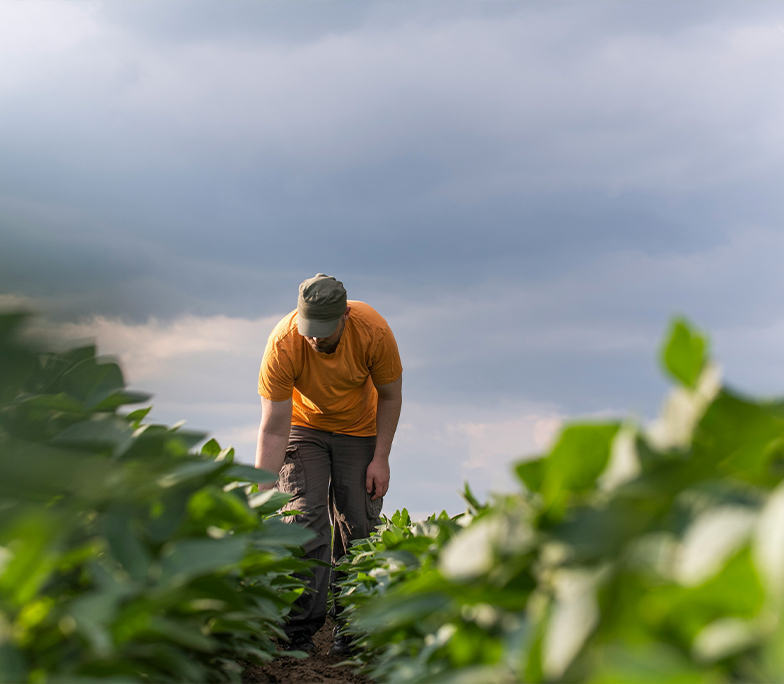 strategic obejectives