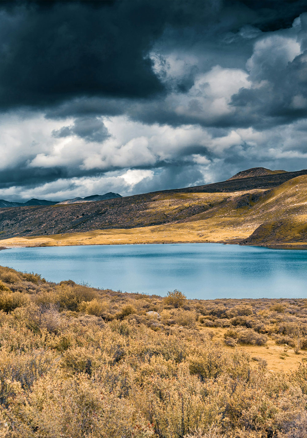Natural Resources Centre of Excellence (CoE)