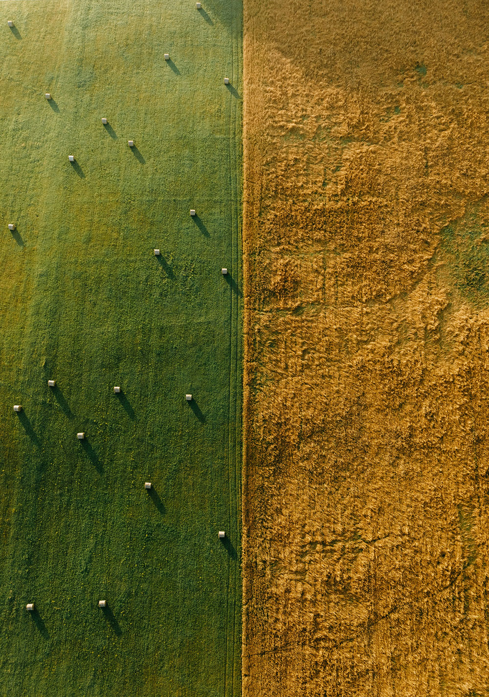 The-Land-and-Development-Centre-of-Excellence